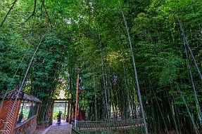 Chine_Moxalain_PERRIERE_13897 null