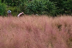 Chine_Moxalain_PERRIERE_13931 null