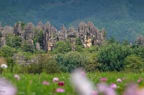 Chine_Moxalain_PERRIERE_20645 null