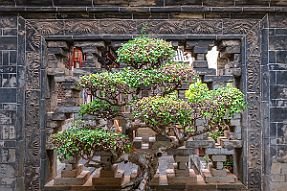 Chine_Moxalain_PERRIERE_15046 null