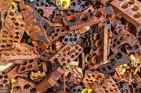 Chine_Moxalain_PERRIERE_15269 null