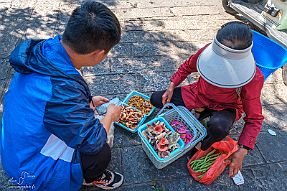 Chine_Moxalain_PERRIERE_15779 null