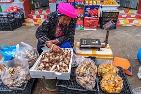 Chine_Moxalain_PERRIERE_17133 null