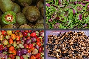 Chine_Moxalain_PERRIERE_17160 null