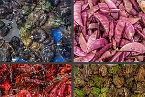 Chine_Moxalain_PERRIERE_17183 null