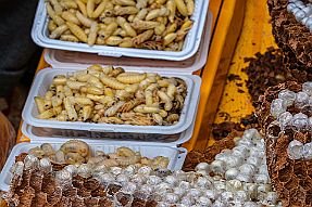 Chine_Moxalain_PERRIERE_23102 null