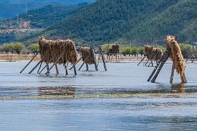 Chine_Moxalain_PERRIERE_23254 null