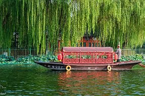 Chine_Moxalain_PERRIERE_10618 null