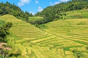 Chine_Moxalain_PERRIERE_20291 null