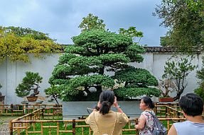 Chine_Moxalain_PERRIERE_19823 null