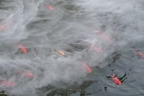 Chine_Moxalain_PERRIERE_21625 null