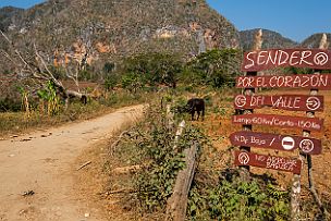Cuba - Perriere - DSCF6923 Suspense entretenu par Yaqueline qui nous a dit : on va traverser sous la montagne pour aller dans l'autre vallée ! Los Senderos et après une traversée du...