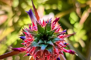 IMG_20230312_132046