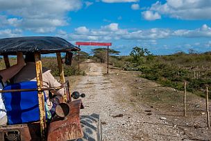 Cuba - Perriere - DSCF8755 ... un tracteur et une charrette. Accrochez-vous derrière dans les vapeurs d'échappement !!! Mais à pieds ou à cheval, nous n'aurions pas eu le temps d'aller au...