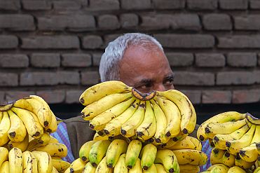 INDA4920-Xo_mod null