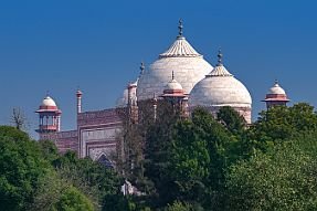 INDB7257 null