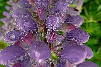 P1070318