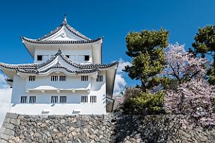 Japon -8636