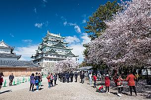 Japon -8663