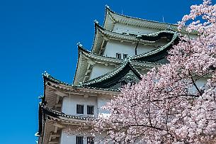 Japon -8753