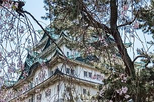 Japon -8786