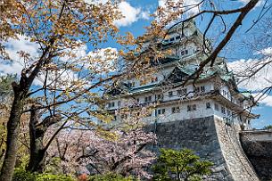 Japon -8795