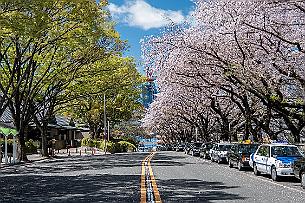 Japon -8915 Nagoya