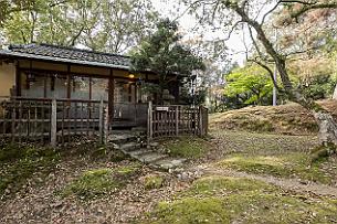 Japon -8931 Notre tite maison toute mimi. Une grande pièce qui sera transformée selon l'usage (thé, diner, nuité, petit dej)