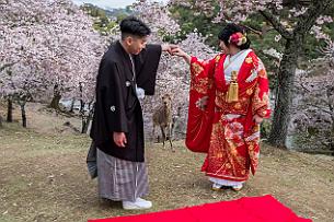 Japon -8975 Non, ce n'est pas une cérémonie. Juste de la location de costumes traditionnels pour faire des photos. Ils louent aussi une équipe de photographes méchamment...