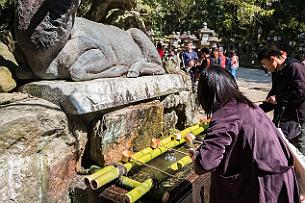 Japon -9529 Prière à la japonaise, pour se purifier, il faut se laver les mains et se rincer la bouche à la fontaine.