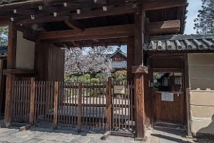 Japon -9072