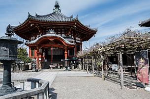 Japon -9092