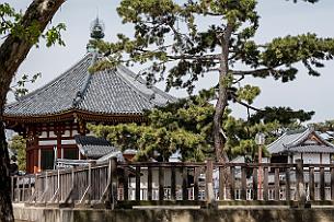 Japon -9136