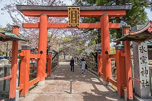 Japon -9199