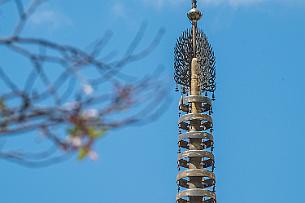 Japon -0739