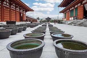 Japon -0800