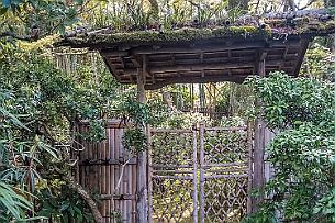 Japon -0846