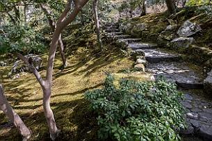 Japon -0851