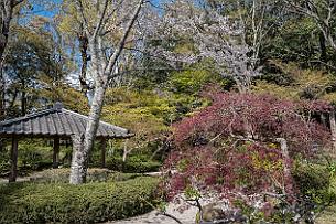 Japon -0859