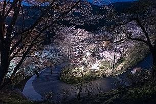 Japon -9806 Une fois à la gare de Yoshino, il est possible de monter dans le téléphérique (cable car)