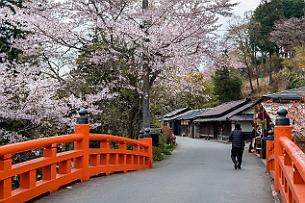 Japon -9833