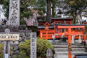 Japon -9851