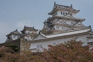Japon -3001 Le château de Himeji a retrouvé son donjon, sa célèbre couleur blanche éclatante (ses murs sont blanchis à la chaux)
