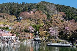 Japon -1476
