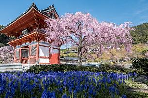 Japon -1482 Il est depuis plusieurs siècles l'une des étapes du pèlerinage de Kansai Kannon