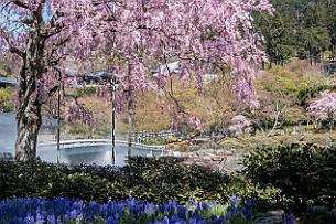 Japon -1500 Les origines de Katsuo-ji remontent à l'Antiquité, au début de l'ère Nara (710 - 794).