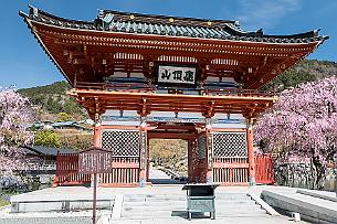 Japon -1525 Il est également réputé pour ses poupées traditionnelles Daruma, symbole de bonne fortune et de vœux exaucés.