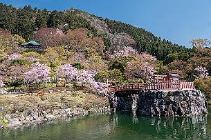 Japon -1533