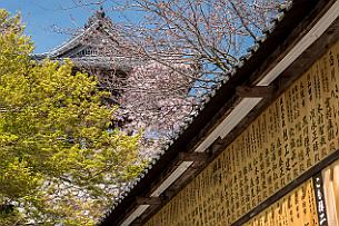 Japon -1561