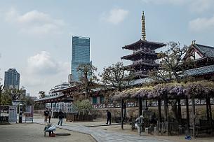 Japon -2114 Tous les 21 du mois, un immense marché aux puces. On y était un autre jour bien sur !